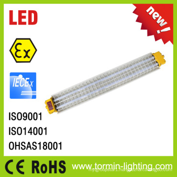 IP66 2X28W Ex Proof Fluorescent Light